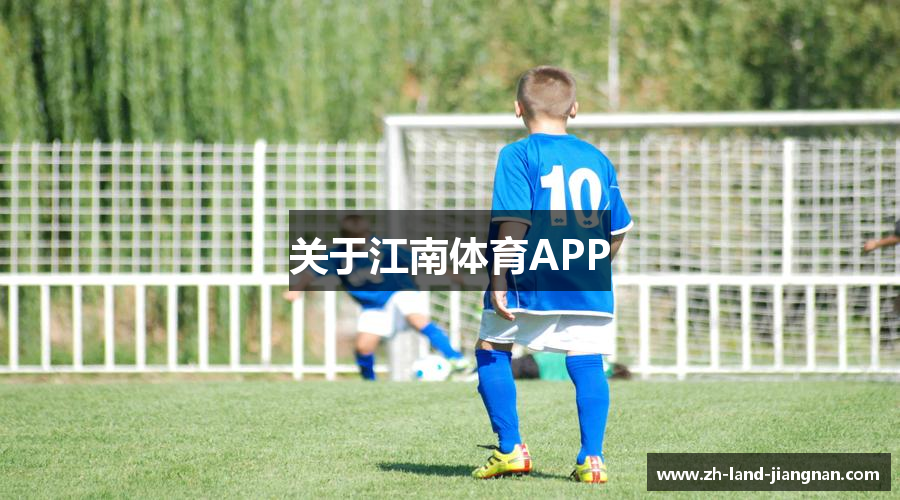 关于江南体育APP