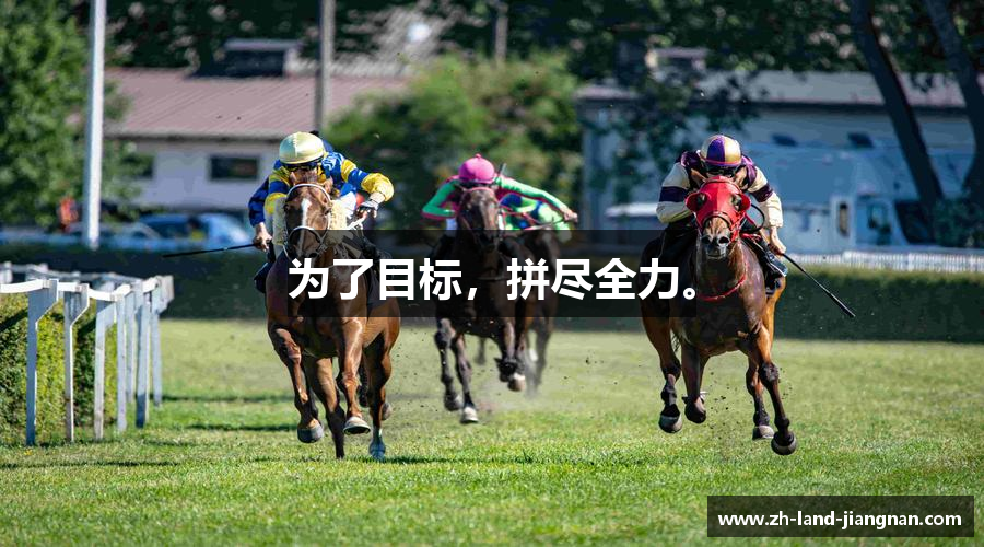 为了目标，拼尽全力。